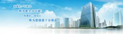 非公司企業(yè)法人登記申請(qǐng)書